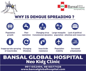 Emergency Hospital