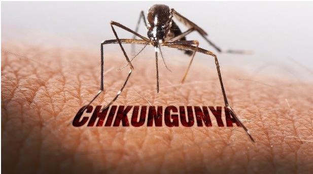 Chikungunya
