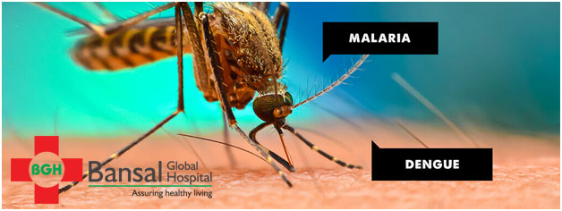 Malariya