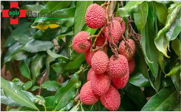 Does litchi fruit cause encephalitis?
